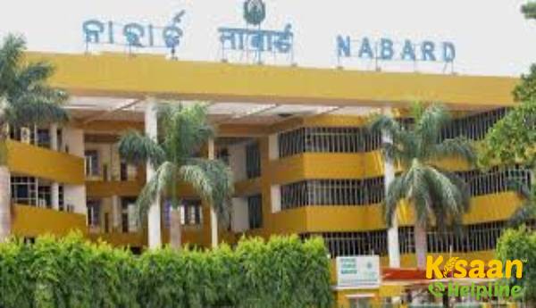 कृषि ऋणों की गारंटी के लिए सहायक कंपनी की स्थापना करने जा रहा है नाबार्ड कृषि ऋणों की गारंटी के लिए सहायक कंपनी की स्थापना करने जा रहा है नाबार्ड